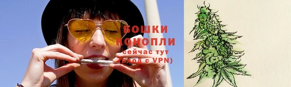 стаф Горнозаводск