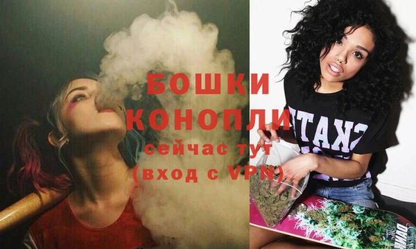 стаф Горнозаводск