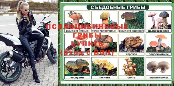 стаф Горнозаводск