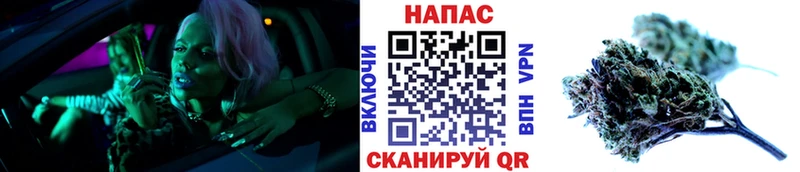 МАРИХУАНА сатива  Купить закладки  Кукмор 